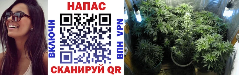Где найти наркотики Нерюнгри МАРИХУАНА  Амфетамин  Альфа ПВП  ГАШИШ  Меф 