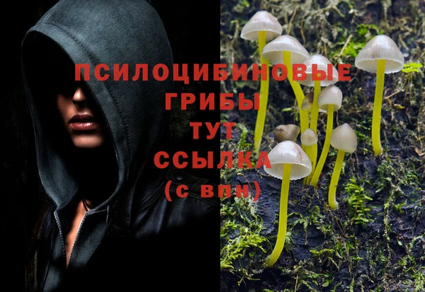 герыч Аркадак