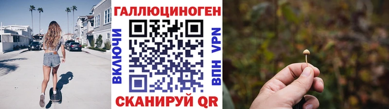 Псилоцибиновые грибы Cubensis  Нерюнгри 